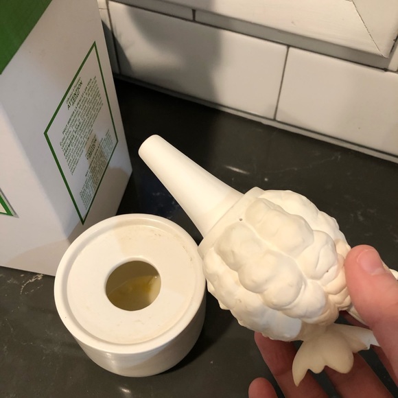 Anthropologie Cactus Diffuser - Picture 4 of 4